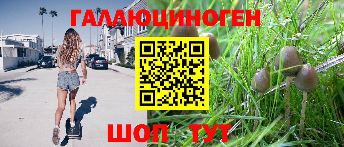 Псилоцибиновые грибы Magic Shrooms  цены наркотик  Крымск  Вход с VPN  Псилоцибиновые грибы Psilocybe 