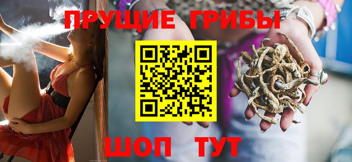 Псилоцибиновые грибы прущие грибы Крымск
